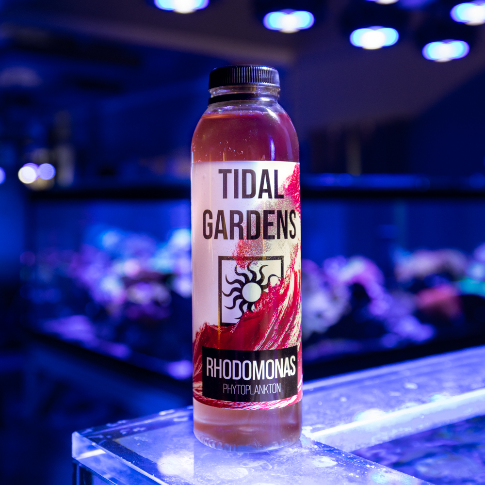 Rhodomonas (16oz) - Tidal Gardens