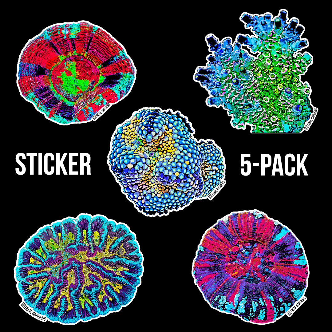 Tidal Gardens - Sticker Collector 5 Pack